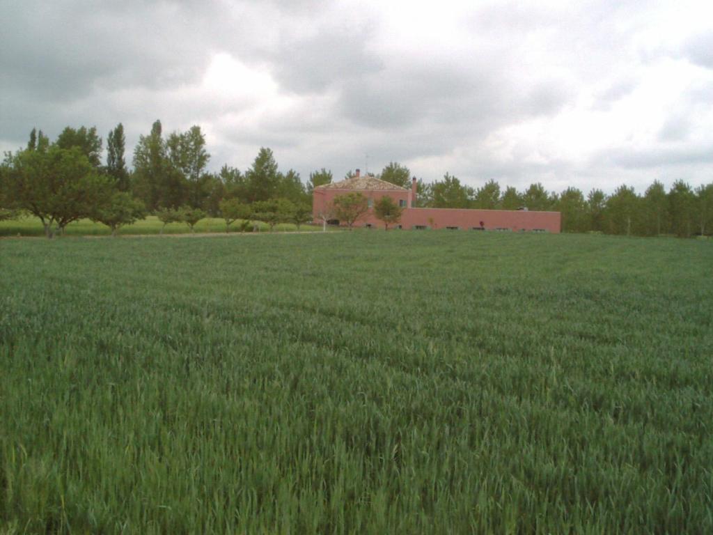 Hotel Santa Coloma Del Camino Olmillos de Sasamón Zewnętrze zdjęcie